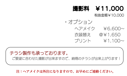 プランや価格の説明が書かれた画像