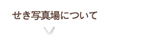 スタジオについて